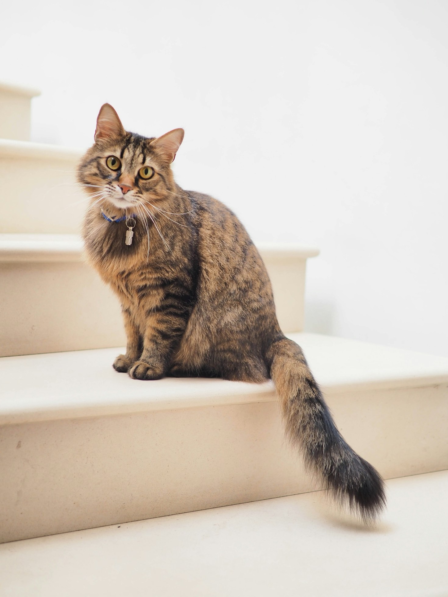 From Fear to Love: La Michi’s Journey