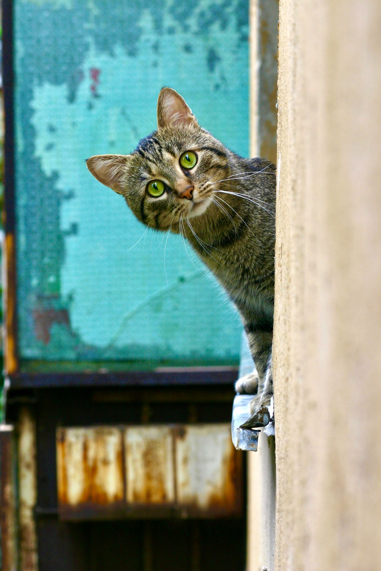 Caring for La Michi: A Story of Devotion